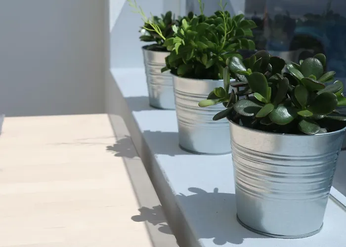 Appartement Daniela Puerto del Carmen (Lanzarote)